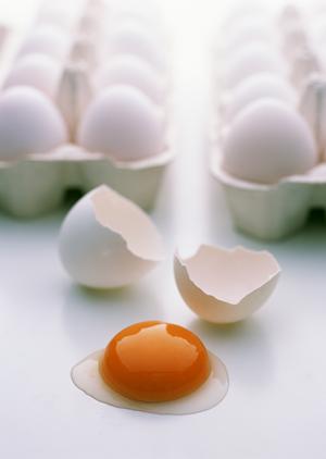 券売機で人件費削減をしてみよう